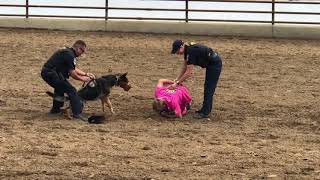 K9 Demo Clovis Rodeo 2018