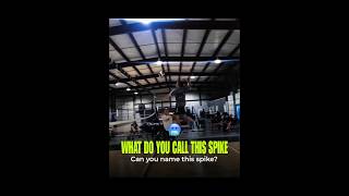 Can you Name this spike?🤯 [subscribe] #haikyuu #volleyball #spike