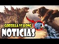 ¡KONG GOLPEANDO A GODZILLA! | NOTICIAS GODZILLA VS KONG