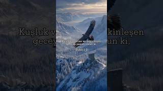 Duha Suresi Tefsiri İçin Açıklamayı Okuyun