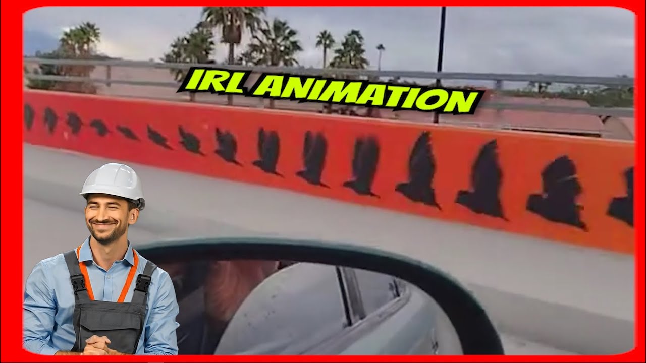 🔴 Real Life Animation! 🐎 ️🦅 🚚 - YouTube