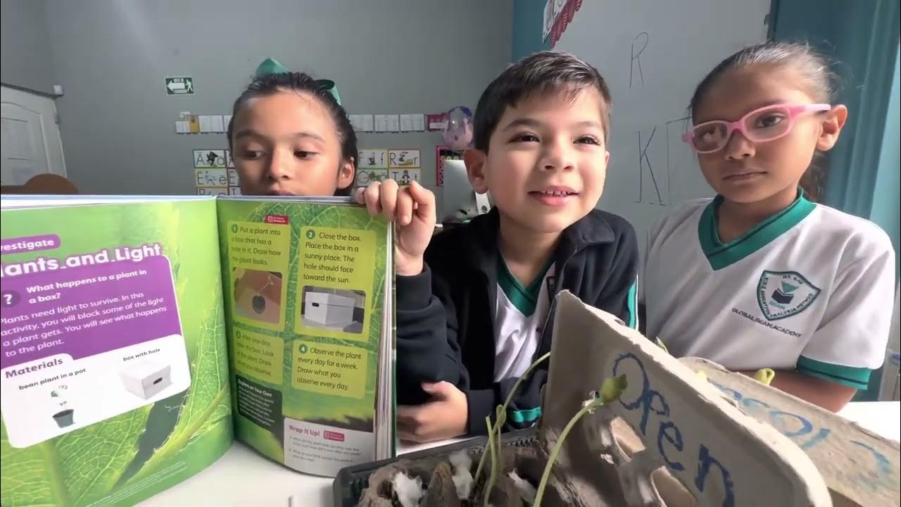 ABCs investigators Do plants need light to grow? Part 2 YouTube