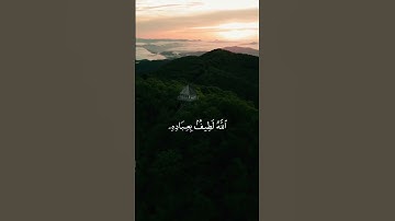 "اللَّهُ لَطيفٌ بِعِبادِهِ يَرزُقُ مَن يَشاءُ" | ماهر المعيقلي ::: تلاوة خاشعه