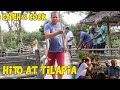 CATCH N COOK | HITO AT TILAPIA