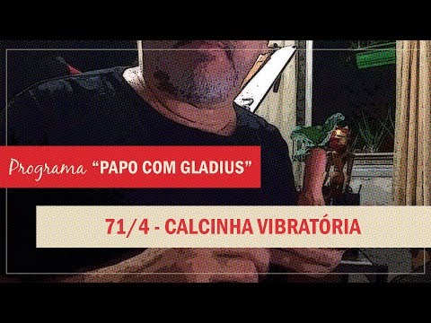 Calcinha vibratória: punição ou prazer?
