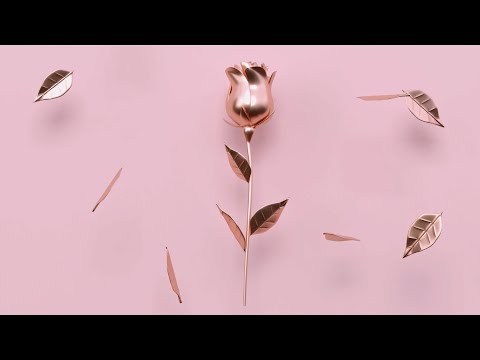 Kaitlyn Raitz - Thaw and Hum [Lollies Remix] (Visualizer)