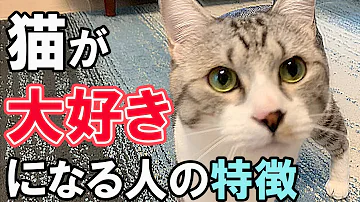 猫が懐いてる人にする行動 Mp3