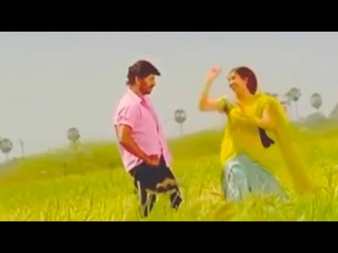 thoothukudi-movie--karuvapaiya-karuvapaiya-song-for-whatsapp-status