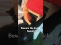 #blackcatsareawesome pageant attacks