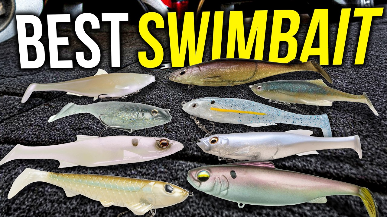 I Tested 10 Popular Swimbaits Underwater