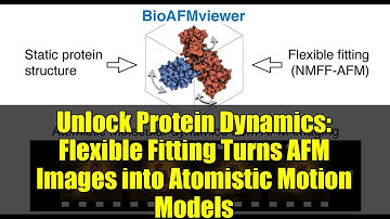 Unlock Protein Dynamics: Flexible Fitting Turns AFM Images into Atomistic Motion Models