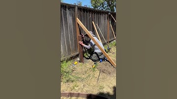 Fixing a rotten fence post.