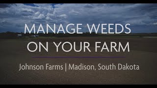 Manage Weeds on Your Farm Terra Preta Farm, Edinburg, TX