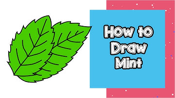 Mint Drawing Easy | How to Draw a Mint by Nifty Toy Art