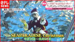 【冬へ】各地で季節の行事  クリスマス＆正月への準備も