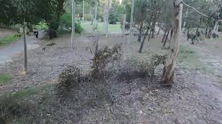 DJI Neo FPV bosque en Parque Rivera