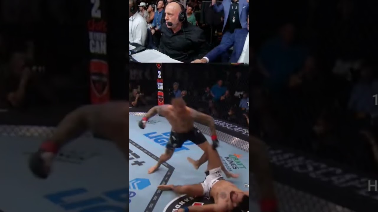 Joe Rogan's reaction to the Dustin Poirier