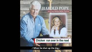 Chicken Run Over in the Road