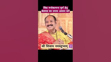 शिघ्र मनोकामना पूर्ण के लिए अवश्य  करें बेलपत्र 1चावल का दाना, चंदन का उपाय#pandit_pradeep_ji_mishra