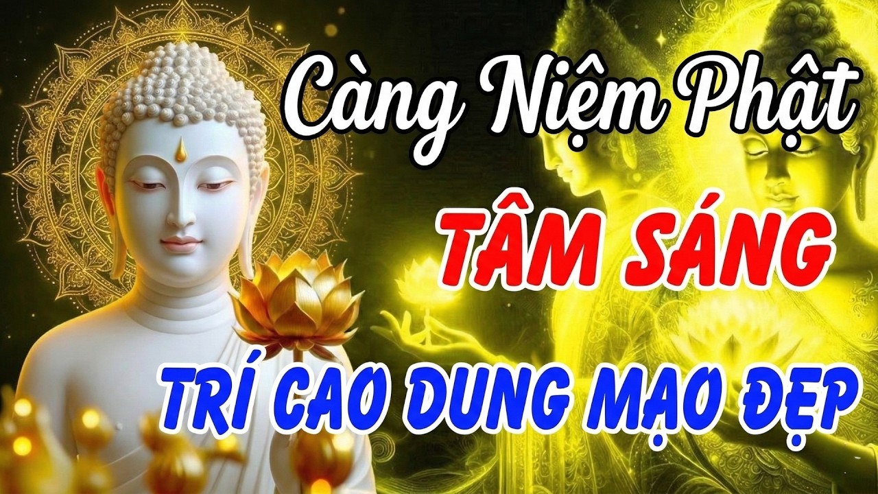 CÀNG NIỆM PHẬT TÂM CÀNG SÁNG: Trí càng cao, người càng đẹp  Phật Dạy Cho Tâm An Lạc