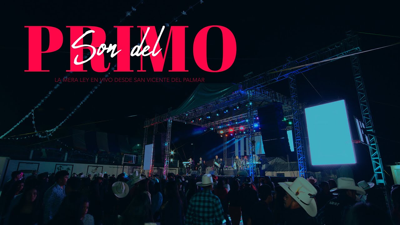 Son del Primo ( Live Look ) - La Mera Ley  ( Edición especial para fans )