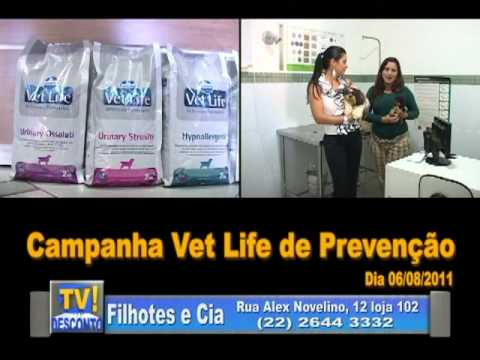 tvdesconto filhotes e cia julho 2011