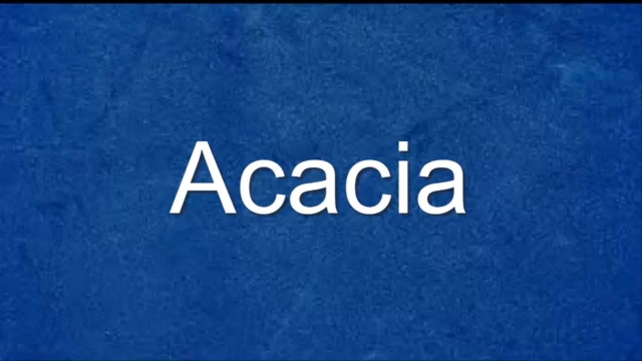 Acacia Meaning E Dictionary Youtube