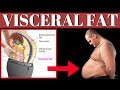 WHAT Is Visceral Fat and WHY Does It Matter ?