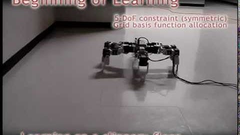 Motion learning of simulated and real robots with DCOB