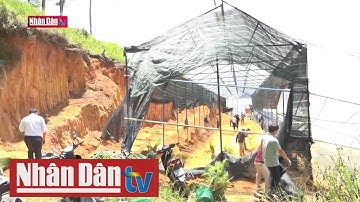 Lâm Đồng: Cưỡng chế đất rừng phòng hộ bị lấn chiếm