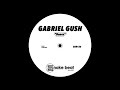 Gabriel gush  to the beat original mix