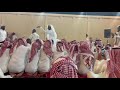 دوسري تربه عزي لمن صاحبه عقب الغلا باعه زاد الجـفا و أشـترى ناس جديدني دوسري تربه عزي لمن صاحبه عقب الغلا باعه زاد الجـفا و أشـترى ناس جديدني