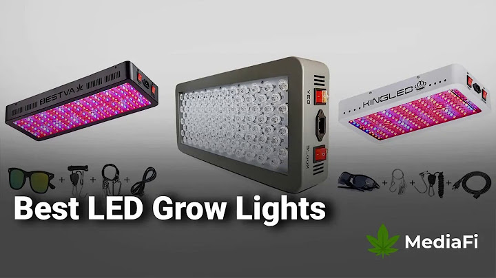 Led grow lights review high times năm 2024