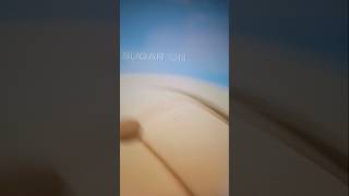 video echo desde capcut