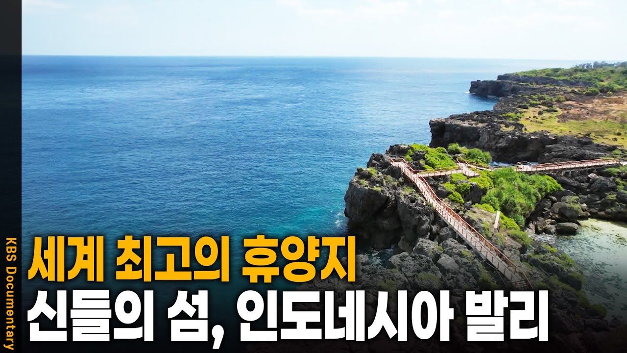 여름 하면 빼놓을 수 없는 휴양지! 신의 섬 인도네시아 발리 | KBS 20241019 방송