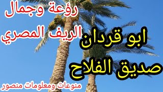 مناظر طبيعية #الريف وجمالة# الطبيعة الخلابه