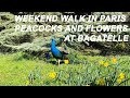 Weekend walk in Paris: peacocks, flowers and lakes at Bagatelle