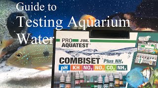 Is your aquarium safe for fish? A beginners guide to testing water parameters.