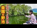強烈な引きの大型ヘラブナしか釣れない野池でチョーチン両ダンゴ【中の淵】