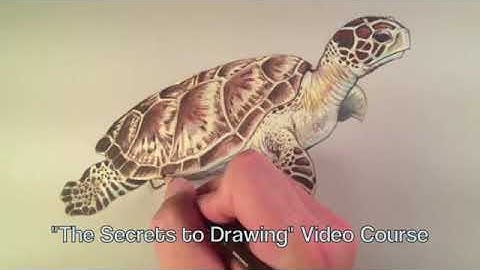 art lesson   learn to draw #01   sketching basics + materials