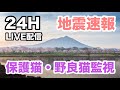 2026/0621  PM5:00~AM5:00   LIVE映像・保護猫監視・アライグマ・タヌキ・ハクビシンがきます。地震速報・天気予報