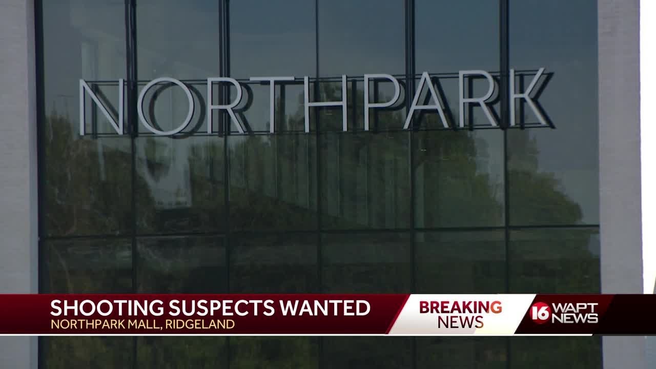 Police release new information in NorthPark shooting, ask public