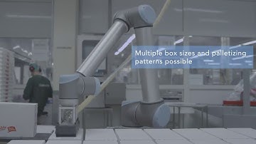 Universal Robot Palletizing