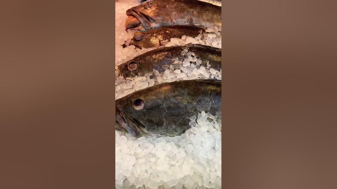Fresh Fish You Might Wanna Grill LULU HYPERMARKET SALALAH OMAN fresh-fish-you-might-wanna-grill-lulu-hypermarket-salalah-oman