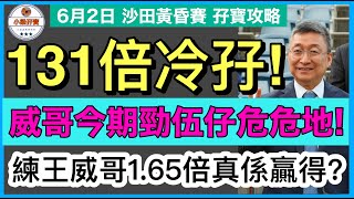 【小梁孖寶】 6月2日 沙田黃昏賽~孖寶攻略 | 131倍冷孖! | 威哥今期勁伍仔危危地! | 練王威哥1.65倍真係贏得? | 賽馬KOL-小梁