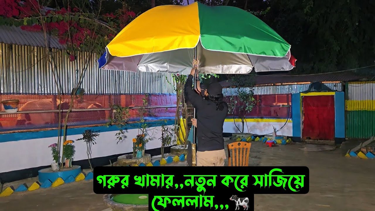 গরুর খামার,,নতুন করে সাজিয়ে ফেললাম,,,🐄