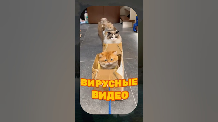 ВИРУСНЫЕ ВИДЕО / безумные коты 😅