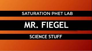 Saturation Phet Lab