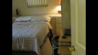 509 South Riverside Dr, Pompano Beach, FL 33062 - Marketed by Roman Pavlik 305-343-3910