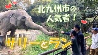 象に会える動物園！到津の森公園／ちょっと北九 見つけてきました！（令和6年4月27日放送）（リンク先ページで動画を再生します。）